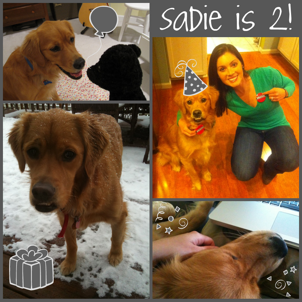 Sadie Turns 2