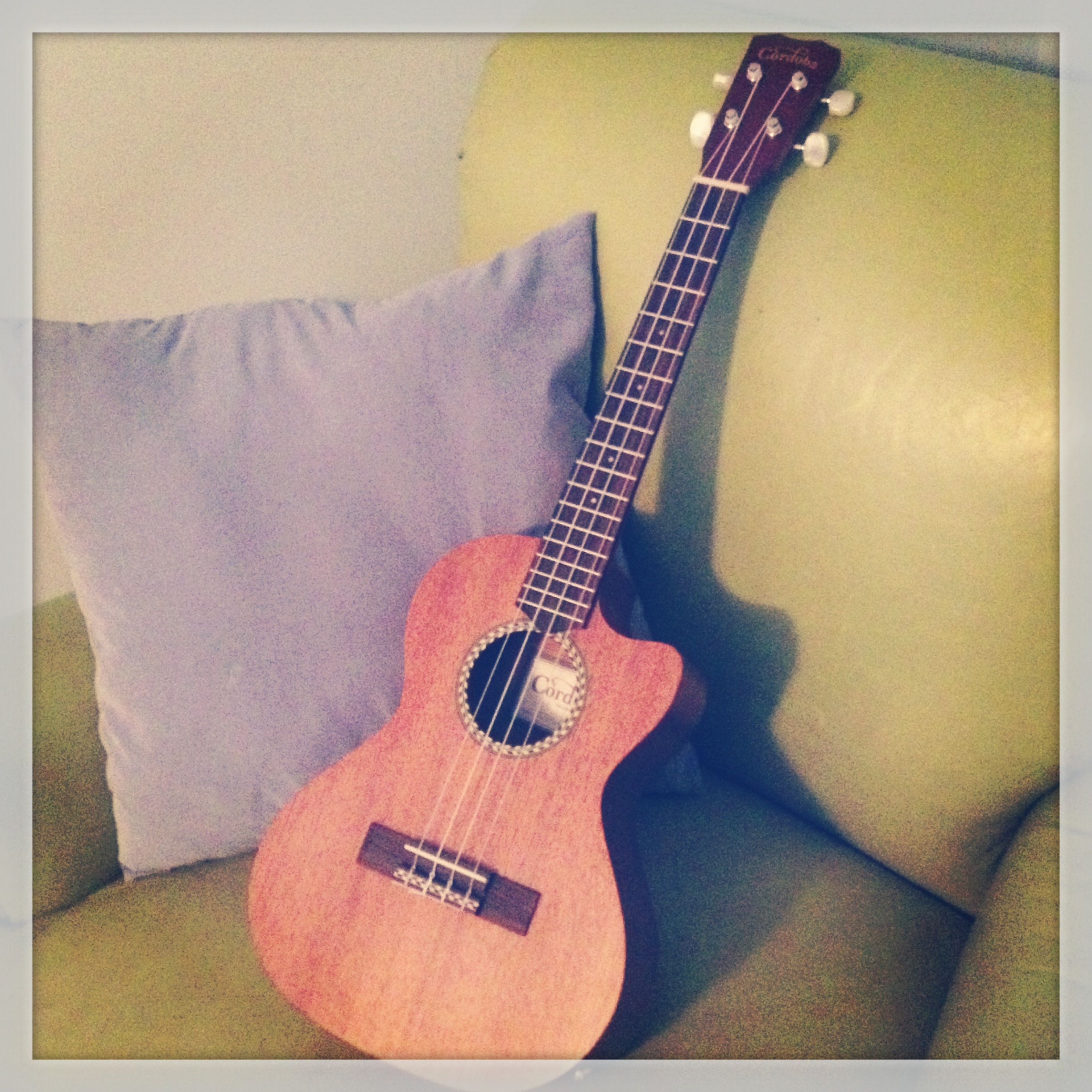 Can't Live Without My Ukulele