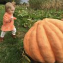 Pumpkin-Songs-for-Children-Listen-Learn-Music