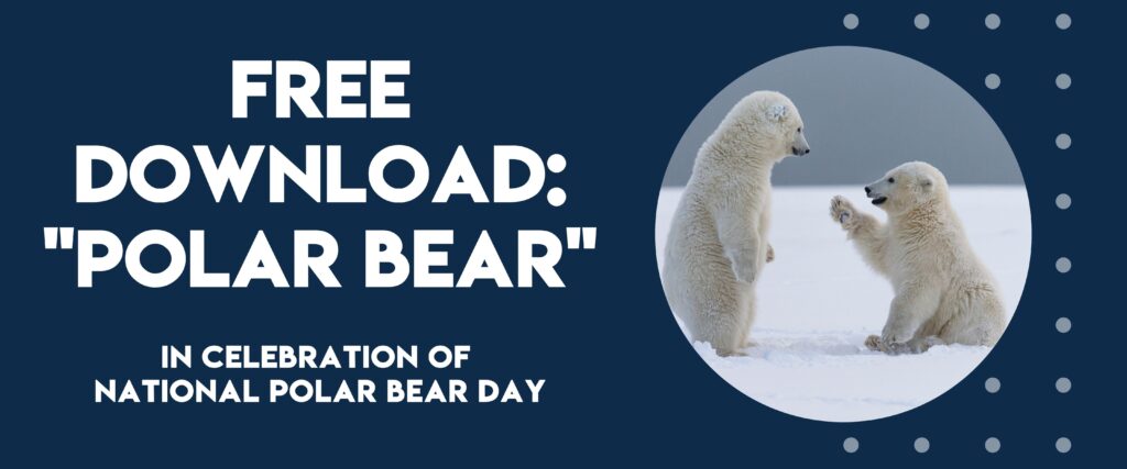 National Polar Bear Day - Free Song Download | Listen & Learn Music
