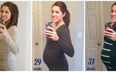 3rd Trimester