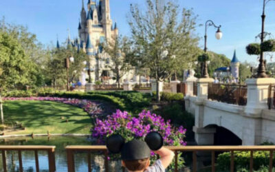 {GGB 66} All Things Disney!