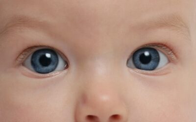 Look Into My Eyes