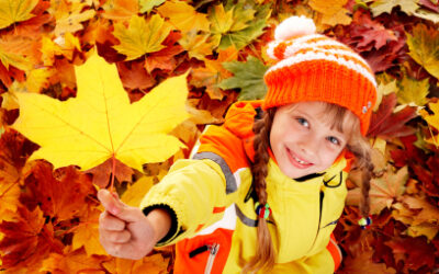 Fall, Fall, Fall