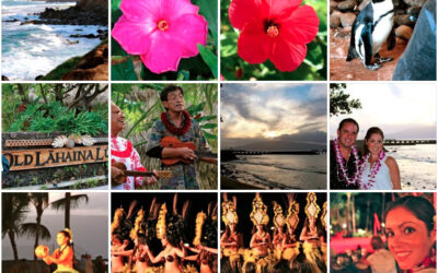 Maui Wowi!