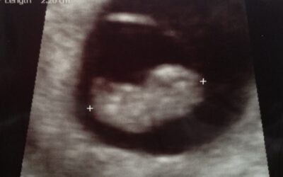 Friday Fave: I’ve Got Some BIG News!
