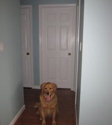 Studio Renovation: The “Before” Pictures