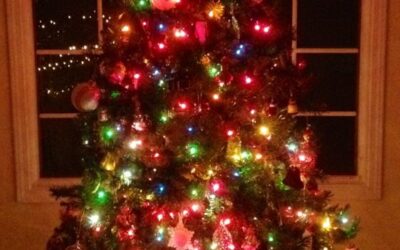 Student Spotlight: “O Christmas Tree”