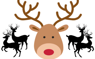 Rudolph & Co.