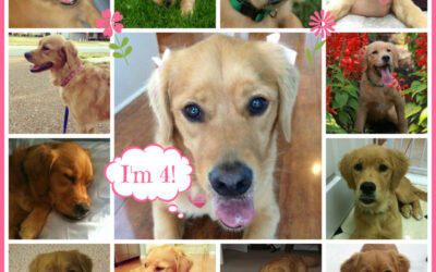 Happy Birthday, Sadie!