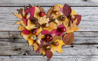 23 Days of Gratitude