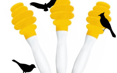 Three Rockin’ Birds