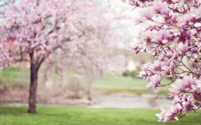 May Day!