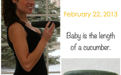 Week 23