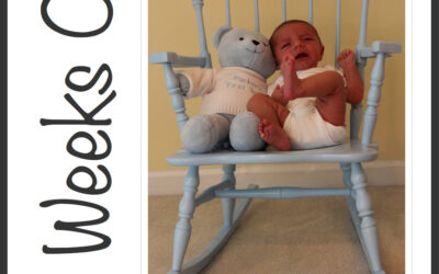 {Parker Weekly} Eight Weeks Old
