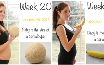 Weeks 20 & 21