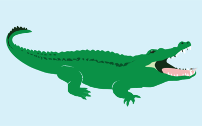 Seeya Later, Alligator