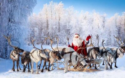 The Other Eight Reindeer