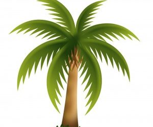 Sway Like a Tree