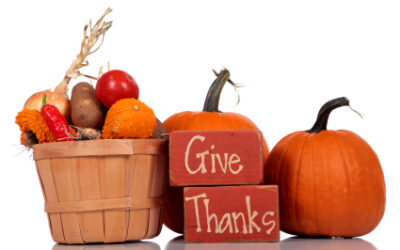What Are You Thankful For?